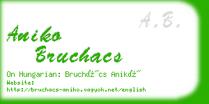 aniko bruchacs business card